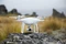 DJI Phantom 4 Vorschaubild