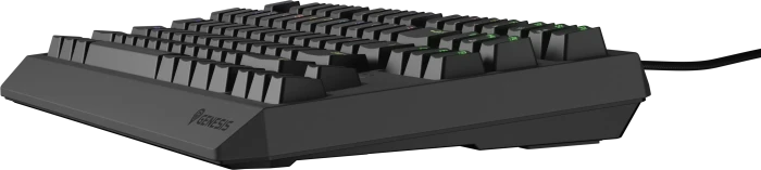 Genesis Thor 230 TKL, schwarz, LEDs RGB, hot-swap, Gaote Outemu BROWN, USB, US