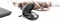 3Dconnexion CadMouse Compact Wireless, USB-C, USB/Bluetooth Vorschaubild