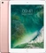 Apple iPad Pro 9.7" - 1. Generation / 2016 Vorschaubild