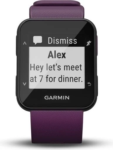 Garmin Forerunner 30 amethyst