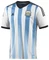 adidas FIFA WM 2014 Argentinien Heimtrikot (Herren) Vorschaubild