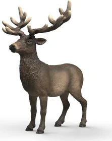 Schleich Wild Life - Amerikanischer Rothirsch