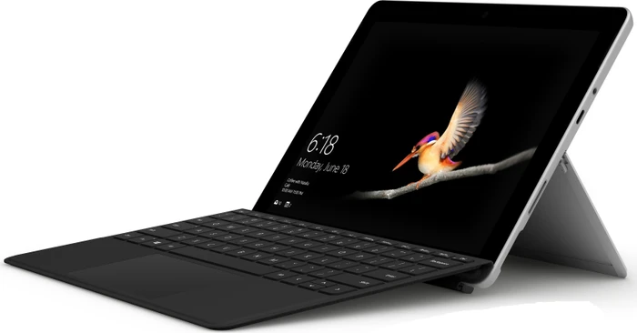 Microsoft Surface Go, schwarz, Pentium Gold 4415Y, 8GB RAM, 128GB, Type Cover schwarz