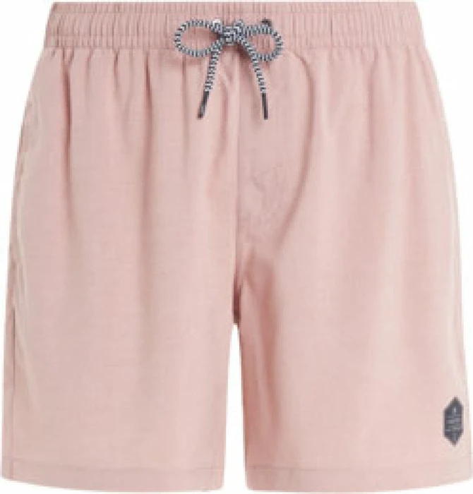 Protest Davey Badeshorts (Herren)
