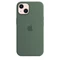 Apple Silikon Case mit MagSafe für iPhone 13 Eukalyptus Vorschaubild