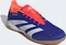 adidas Predator Elite IN lucid blue/cloud white/solar red Vorschaubild