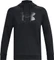 Under Armour Big Logo Hoodie (Herren) Vorschaubild