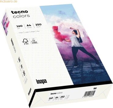 inapa tecno colors Universalpapier naturweiß, A4, 160g/m², 250 Blatt