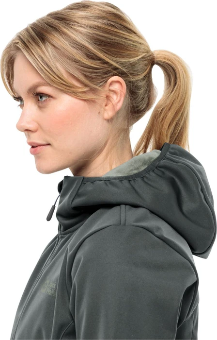 Jack Wolfskin Windhain Hoody Funktionsjacke slate green (Damen)