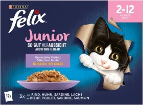 Purina Felix So gut wie es aussieht Gemischte Vielfalt in Gelee, Multi Pack, Junior, mit mit Rind, Huhn, Sardine und Lachs, 1.02kg (12x 85g)
