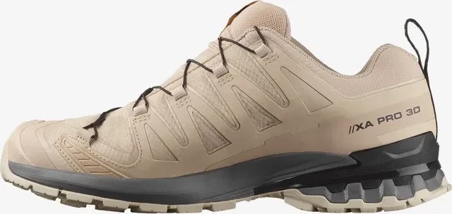 Salomon XA Pro 3D V9 GTX oxford tan/castlerock/black (Herren)