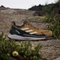 adidas Terrex Free Hiker 2.0 Low GTX bronze strata/savanna/carbon (Herren) Vorschaubild