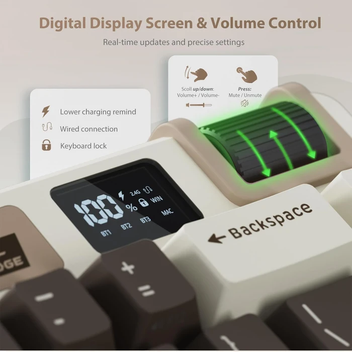 RK Royal Kludge M70 Wireless, Mocha Grey, beige/grau, LEDs RGB, hot-swap, RK Linear Cream, USB/Bluetooth, US
