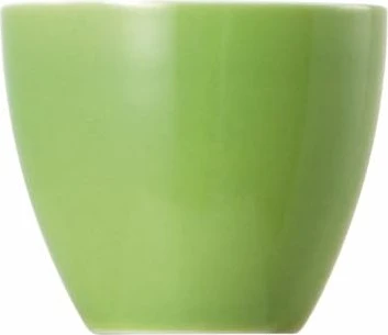 Thomas Sunny Day Colours apple green