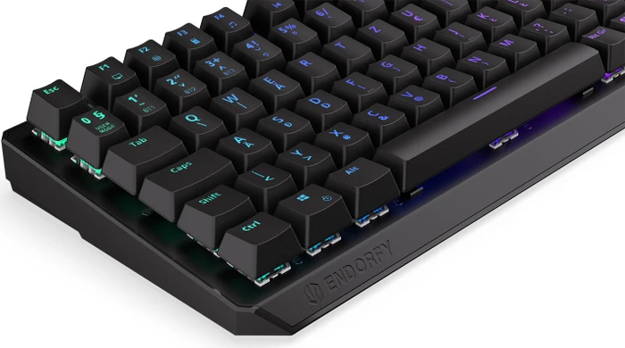 Endorfy Thock 75% Wireless, PBT, LEDs RGB, hot-swap, Black, Kailh Box BLACK, USB/Bluetooth, HU