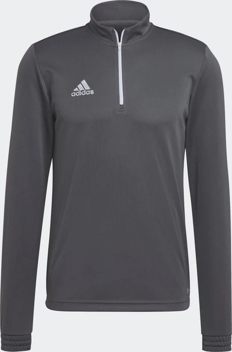 adidas Entrada 22 Training Funktionsshirt langarm team grey four (Herren)