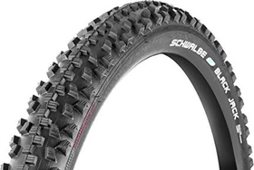 Schwalbe Black Jack 12x1.9" Reifen
