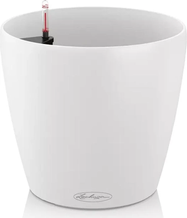 Lechuza Classico Color 70