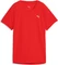 Puma Veolocity Laufshirt kurzarm ultra red Vorschaubild