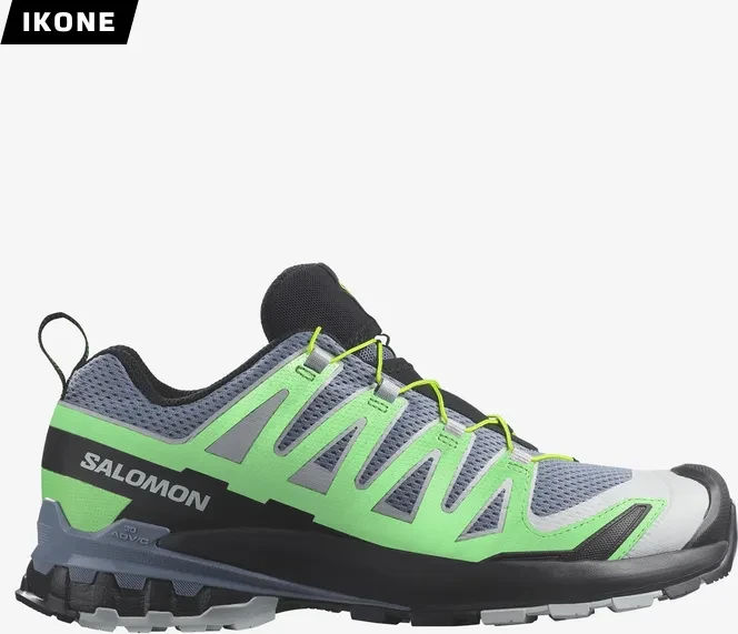 Salomon XA Pro 3D V9 GTX flint stone/green gecko/black (Herren)