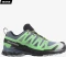 Salomon XA Pro 3D V9 GTX flint stone/green gecko/black (Herren) Vorschaubild