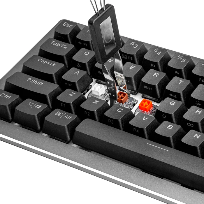 Cooler Master CK720, LEDs RGB, hot-swap, schwarz/grau, Kailh Box V2 BROWN, USB, US