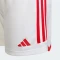 adidas 1. FC Union Berlin 2023/2024 Heimshorts (Herren) Vorschaubild