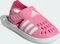 adidas Summer Closed Toe Water bliss pink/cloud white/pulse magenta (Junior) Vorschaubild