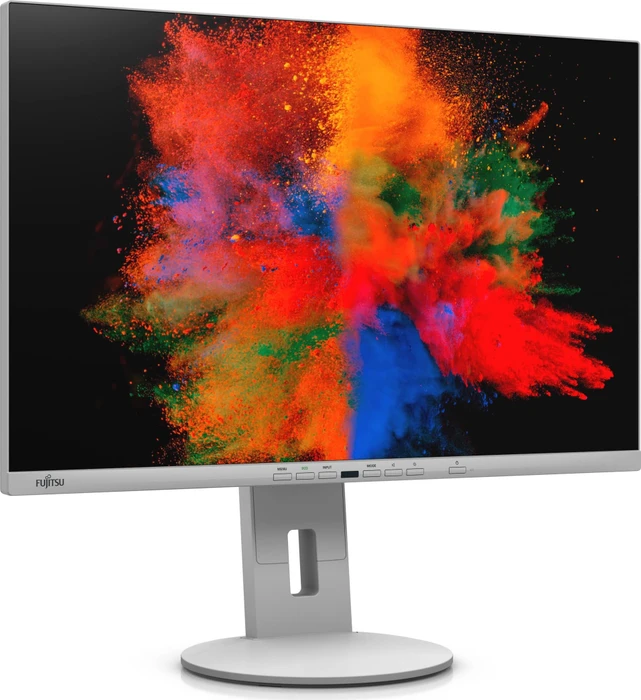 Fujitsu P-Line P2410 WE, 24.1"