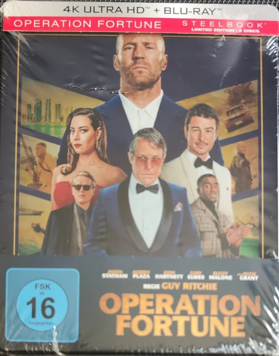 Operation Fortune