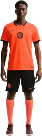 Nike FIFA WM 2026 Niederlande Heimshorts black/hyper crimson (Herren)