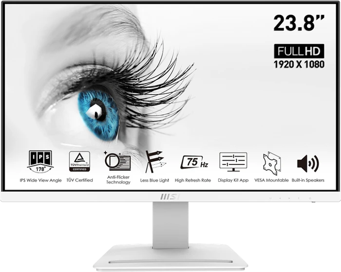 MSI PRO MP243