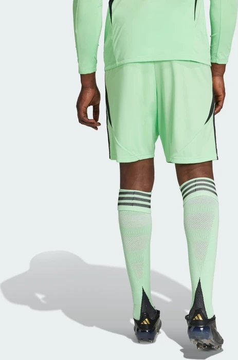 adidas Tiro 24 Shorts glory mint (Herren)