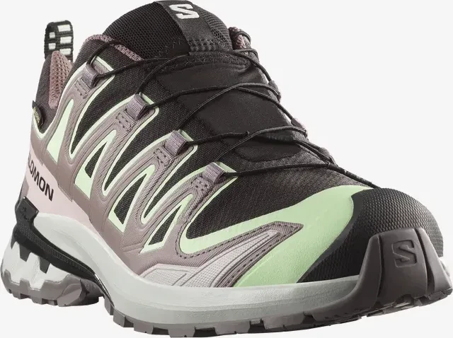 Salomon XA Pro 3D V9 GTX black/patina green/gray violet (Damen)