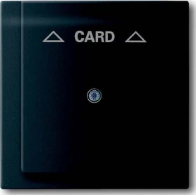 Busch-Jaeger Impuls Zentralscheibe für Cardschalter, schwarz matt