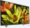 Sony KD-60XF8305 Vorschaubild