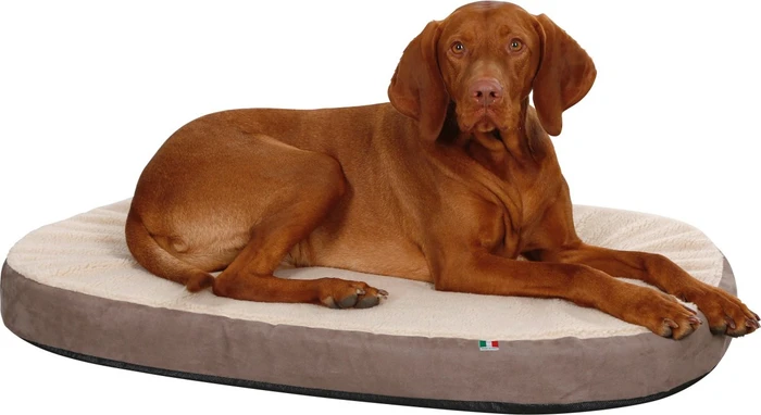 Kerbl Matratze Memory-Foam, 100x65x8cm, taupe/beige