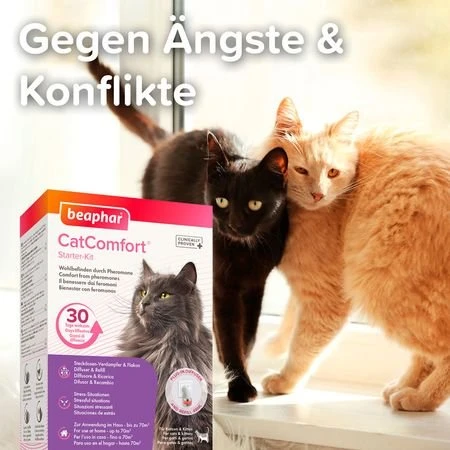 beaphar CatComfort Starter-Kit, Pheromon, Verdampfer, Bundle (17149) – Bild 5 von 5