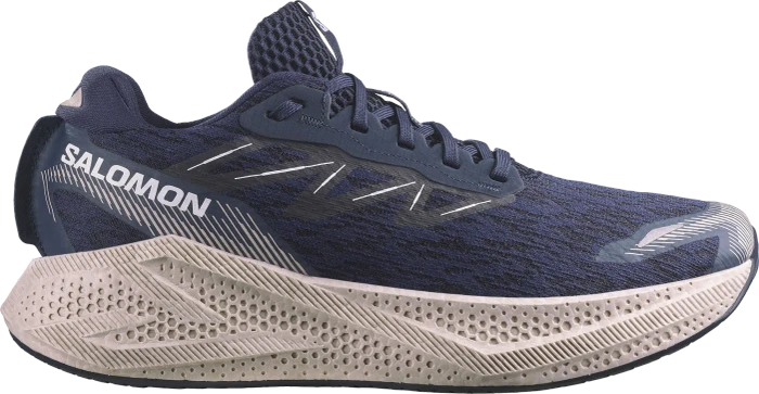 Salomon Aero Glide 4 (Herren)