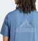 adidas Terrex Graphic T-Shirt kurzarm wonder steel (Herren) Vorschaubild