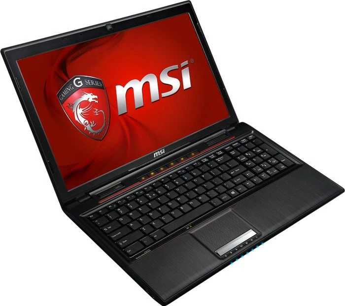 MSI GP60 i540M287FD, Core i5-4200M, 8GB RAM, 750GB HDD, GeForce GT 740M, DE