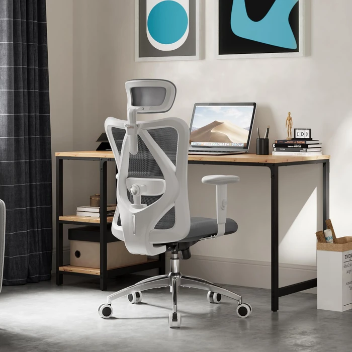 Sihoo M18 Classic Office Bürostuhl, grau