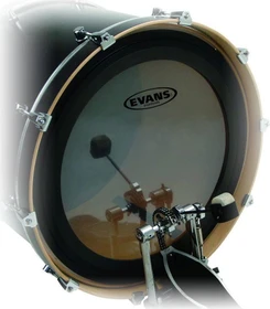 Evans GMAD Clear Bass 22"