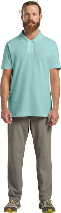 Jack Wolfskin Essential Poloshirt kurzarm soft jade (Herren)