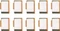 Lindy USB-C/Thunderbolt 3 Schloss Ergänzungspackung, orange, 10er-Pack Vorschaubild