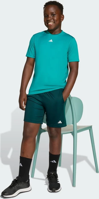 adidas Train Essentials Logo Regular Fit Funktionsshirt kurzarm pure teal/white (Junior)