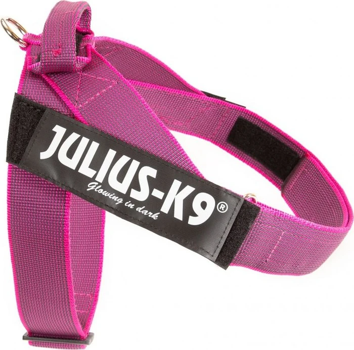Julius K9 IDC Color & Gray Beltgeschirr XL, Pink