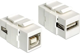 DeLOCK Keystone Modul USB-A 2.0 Buchse via USB-B 2.0 Buchse, weiß