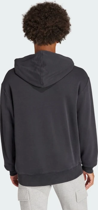 adidas Adicolor Outline Trefoil Hoodie schwarz (Herren)
